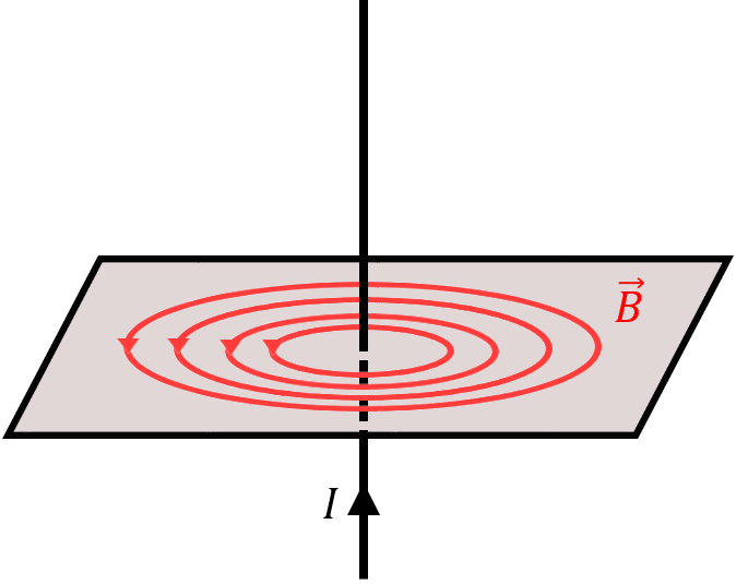 The magnetic field from a current-carrying wire forms concentric circles centred on the wire.