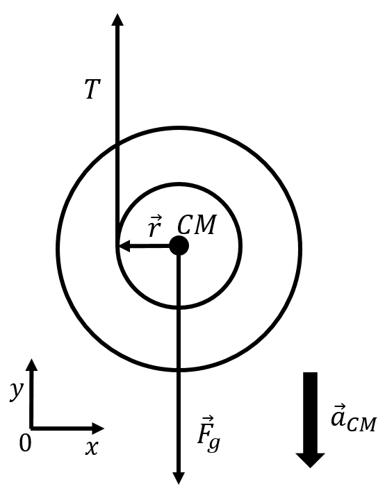 Free body diagram for the yo-yo.